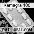 Kamagra 100 cialis3